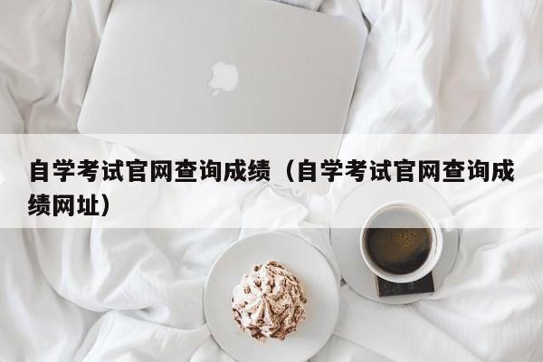 自学考试官网查询成绩（自学考试官网查询成绩网址）