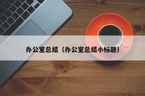 办公室总结（办公室总结小标题）