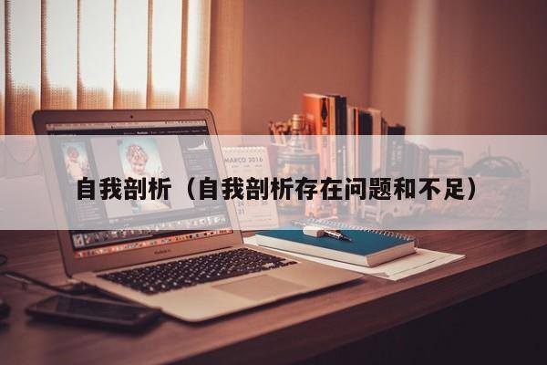 自我剖析（自我剖析存在问题和不足）